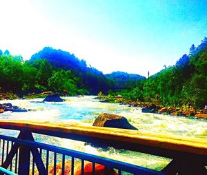 Scenic shot of trees against clear blue sky