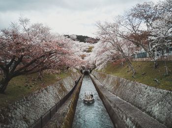 Bridge over canal amidst trees against sky