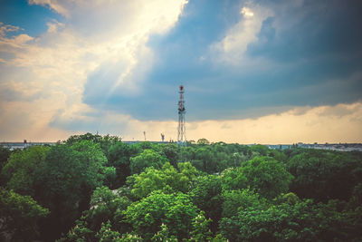 Plants and trees against sky