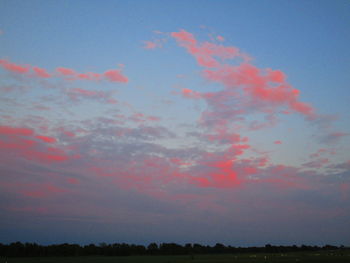 Low angle view of trees against sky during sunset