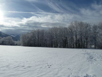 Trees on snow covered field against sky