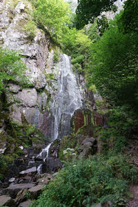 Scenic view of waterfall in forest