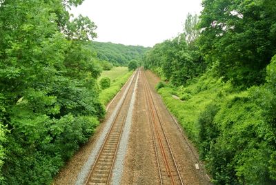 Railroad tracks amidst trees against sky