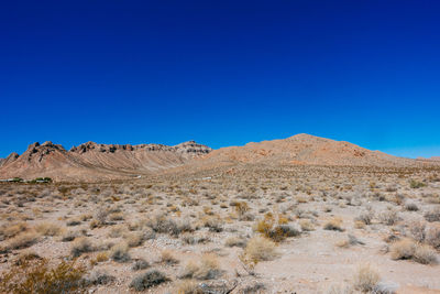 Scenic view of mojave desert against clear blue sky