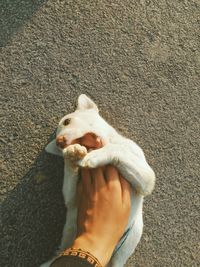 High angle view of human hand holding outdoors