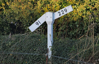 Information sign on road by plants