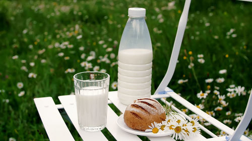 In the middle of a chamomile lawn on a white chair is a bottle of milk also there is a glass of milk