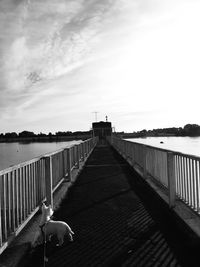 View of pier on sea against sky