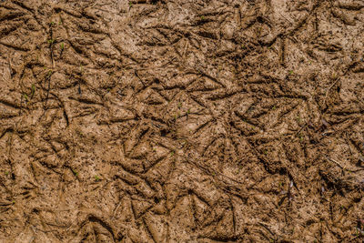Full frame shot of abstract background