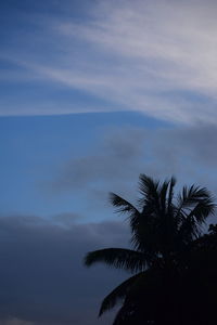 Silhouette palm tree by sea against sky at sunset