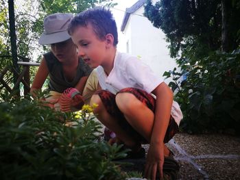 Curious friends crouching by plants on footpath at back yard