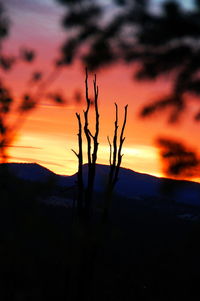 Silhouette landscape at sunset