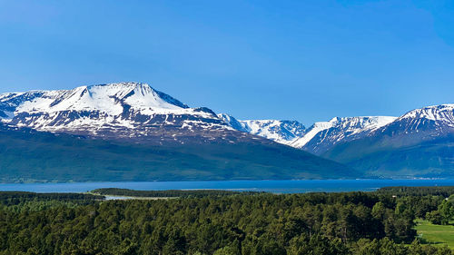 mountain