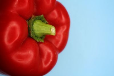Close-up of red bell peppers against blue background