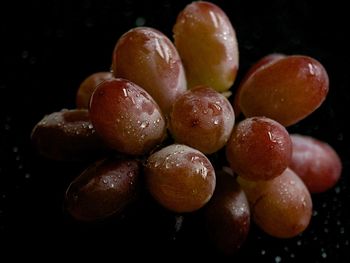 Close-up of wheat