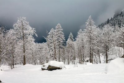 Snow covered land and trees against sky