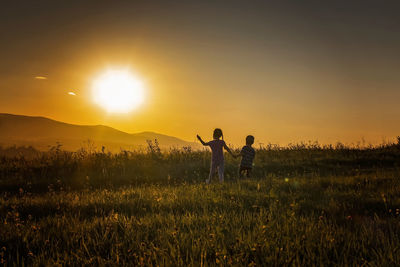 Rear view of man walking on field against sky during sunset