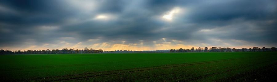 Panoramic shot of agricultural field against sky