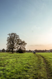 Scenic view of field against clear sky