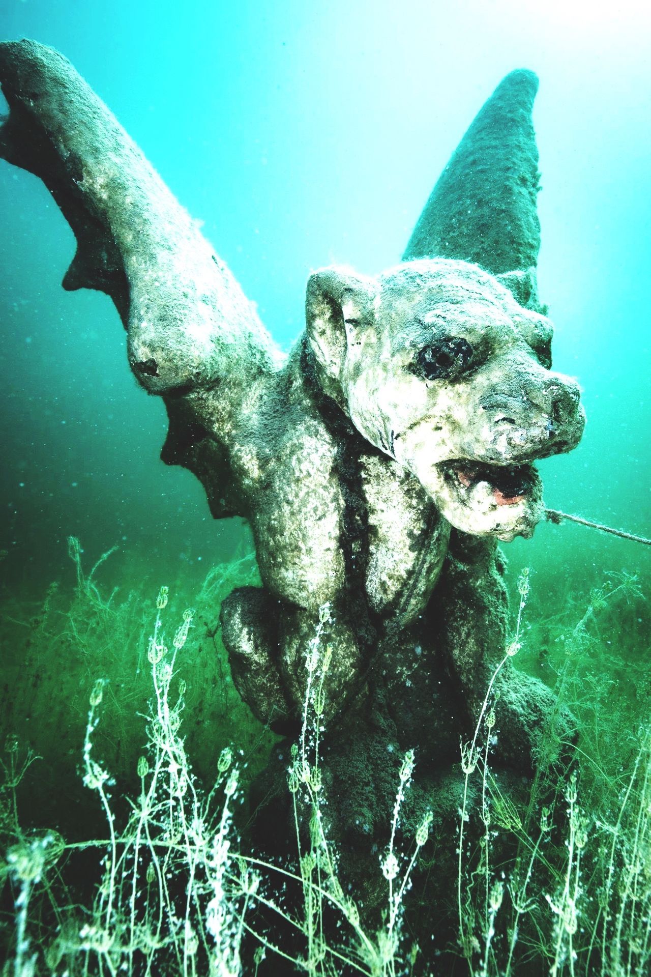 Gargoyle deepsea terquois