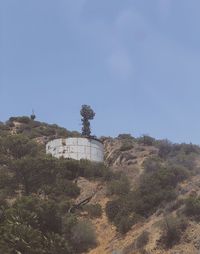 Plants growing on old building against sky