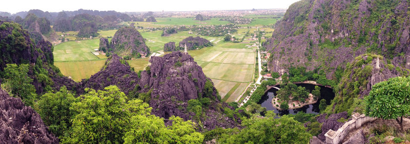 Panoramic view of trees on landscape