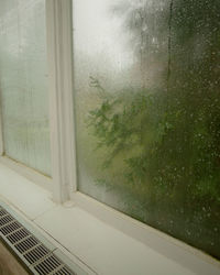 Close-up of wet window