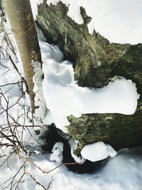 Close-up of snow on tree against sky