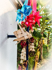 Close-up of multi colored umbrella hanging on wood