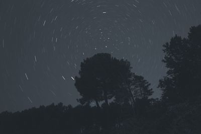 Low angle view of silhouette trees against sky at night