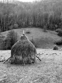 View of hay bales on field