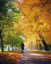 Rear view of people walking on footpath