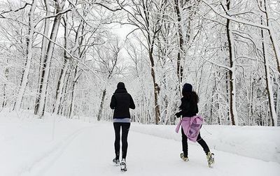 Bare trees on snow covered landscape