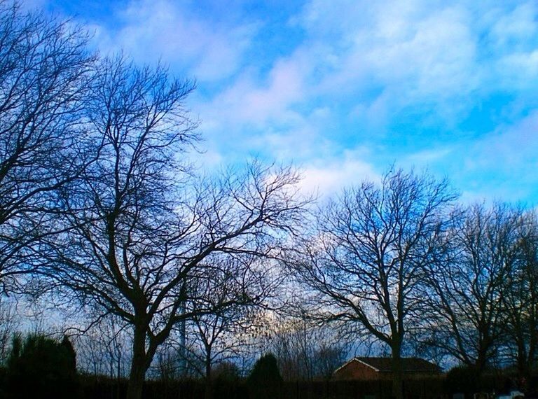 bare tree, tree, branch, tranquility, sky, beauty in nature, tranquil scene, scenics, nature, silhouette, cloud - sky, water, lake, low angle view, reflection, blue, outdoors, idyllic, cloud, no people