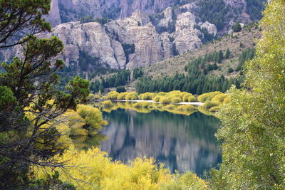 Scenic view of lake amidst trees in forest