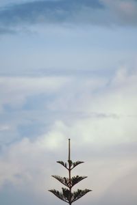 Low angle view of tree against sky