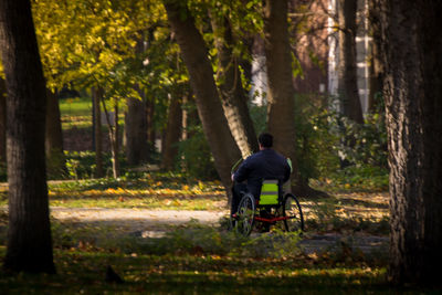 Rear view of man in forest