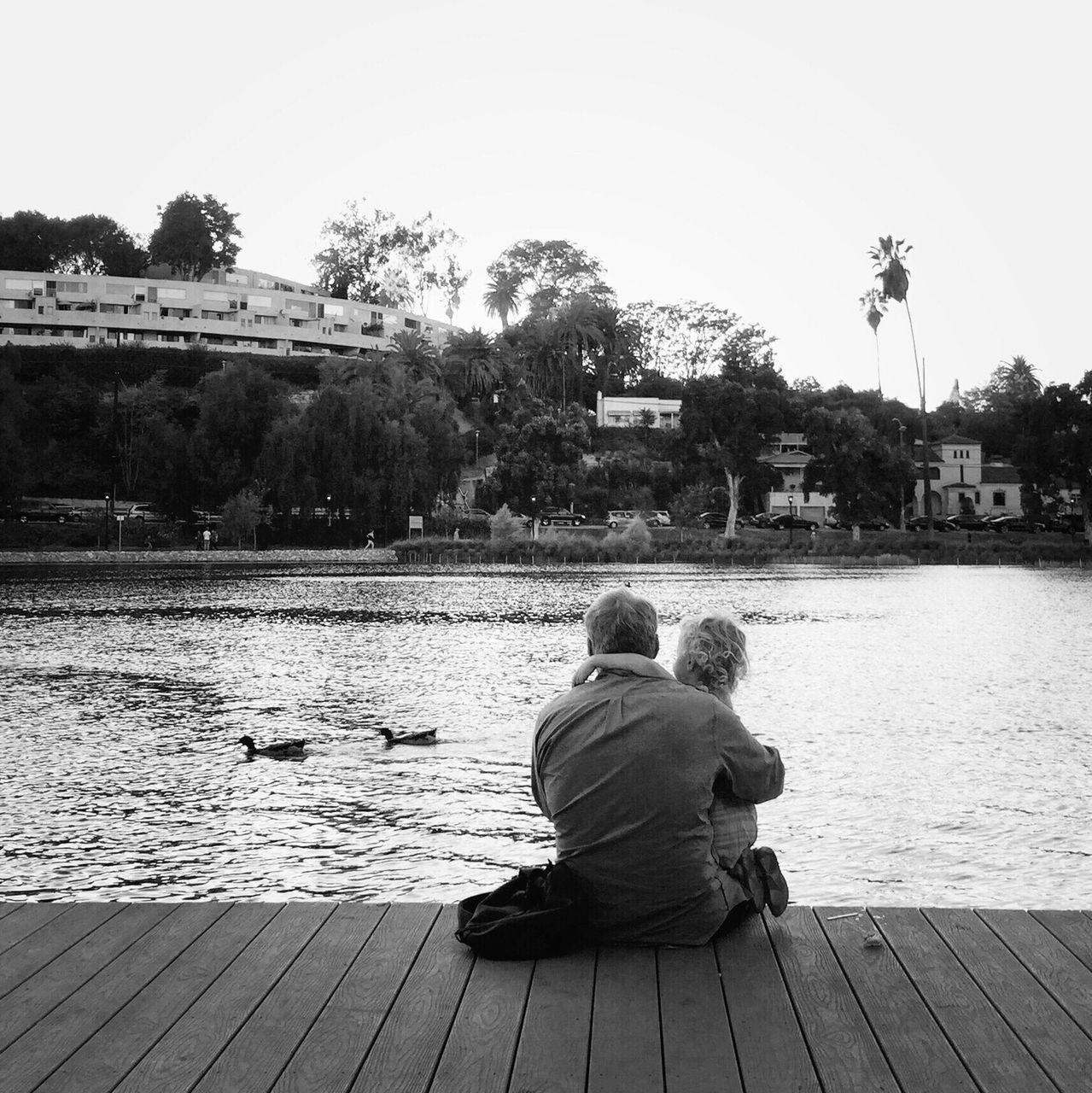 water, sitting, rear view, men, lifestyles, leisure activity, tree, lake, clear sky, full length, sky, relaxation, bench, river, casual clothing, building exterior, outdoors, nature