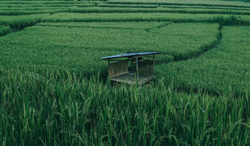 View of agricultural field