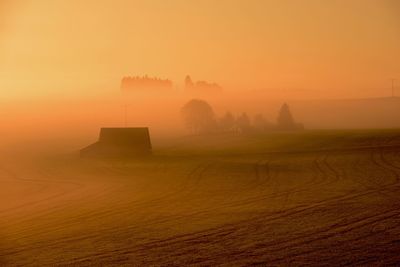 Scenic view of field against orange sky