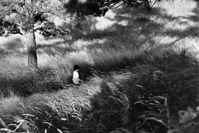 Rear view of woman sitting on field