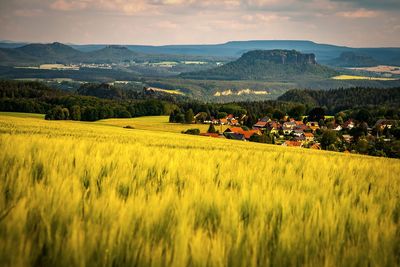 Scenic view of agricultural field against sky