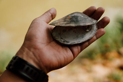 Cropped hand holding dry oyster outdoors