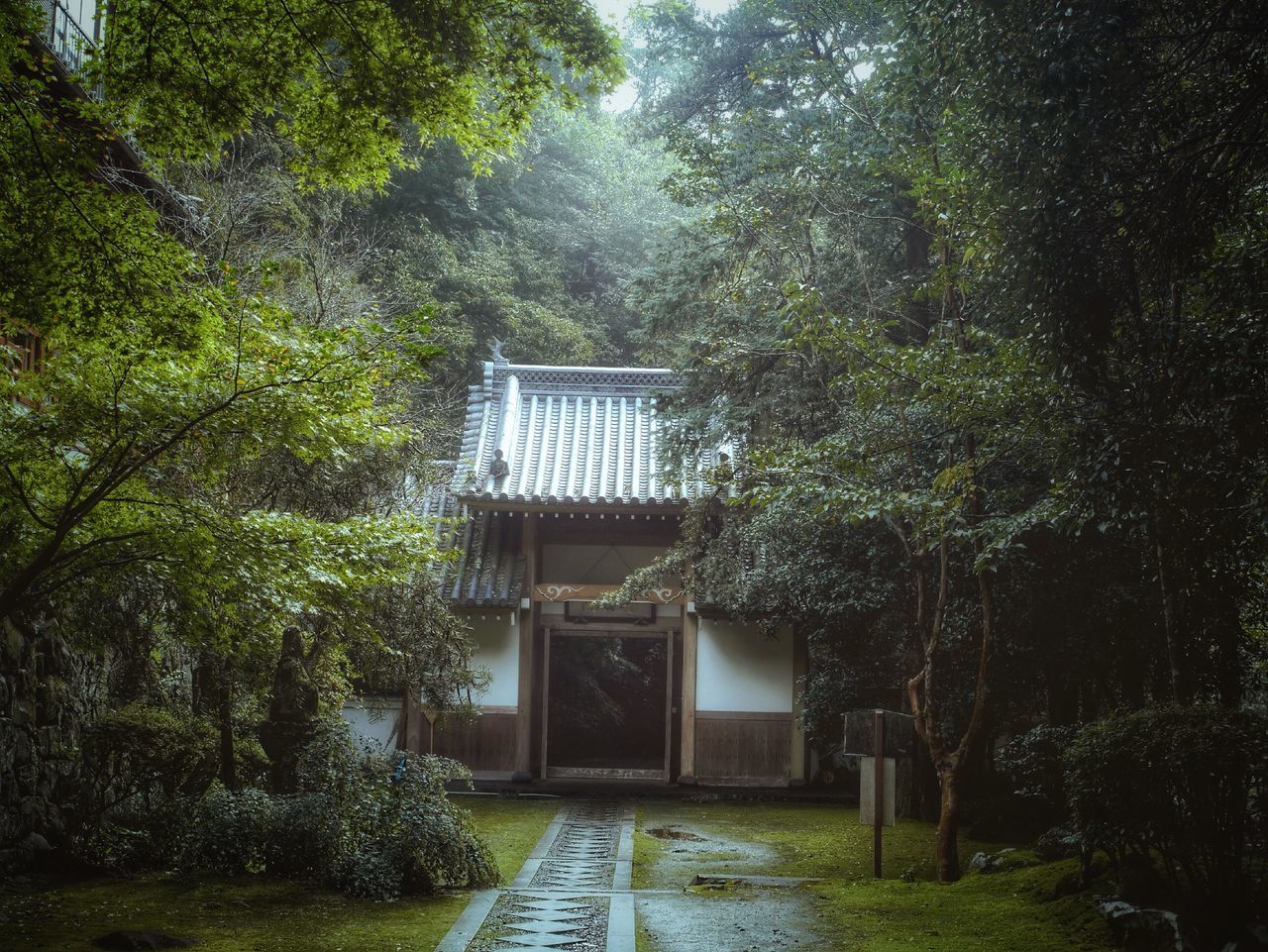 tree, built structure, architecture, growth, plant, house, building exterior, green color, nature, lush foliage, the way forward, tranquility, day, residential structure, steps, no people, outdoors, walkway, green, beauty in nature