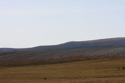 Scenic view of field against clear sky