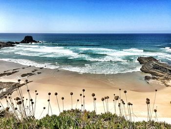 Scenic view of sea against clear sky