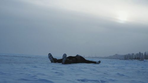 Horse on snow covered landscape against sky