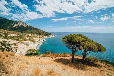 Scenic view of beach