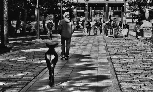 Woman walking on footpath