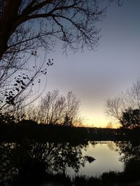 Silhouette trees by lake against sky at sunset